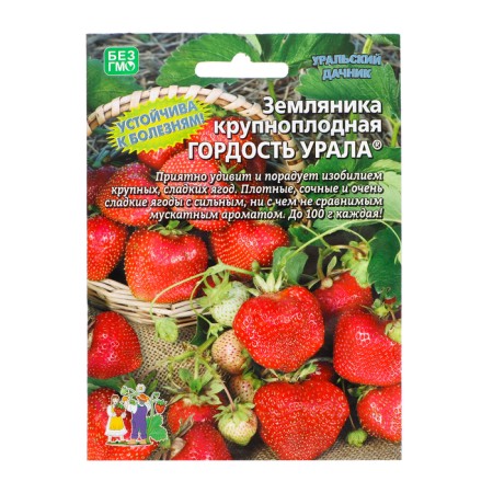 Strawberries "Pride of the Urals", 10 pcs