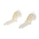 Holder on a suction cup with a clip for a lamp, ritter, white, 2pcs