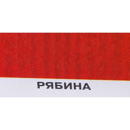 Protective texture coating for wood, mountain ash, 0.8 liters-2