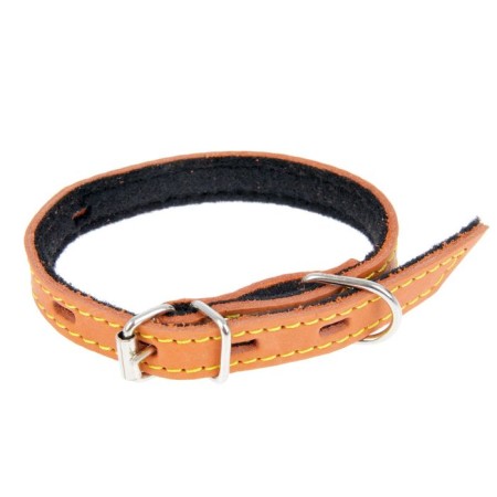 A set of colored leather for puppies Zononic, a collar 35 cm, leash 130 x 1.5 cm, mix-2