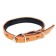 A set of colored leather for puppies Zononic, a collar 35 cm, leash 130 x 1.5 cm, mix