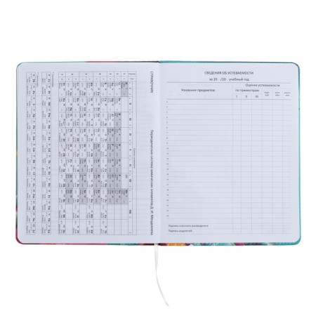 Universal diary for grade 1-11 Candy Cat, hard cover, artificial leather, foam rubber, lies, 80 g/m2-11