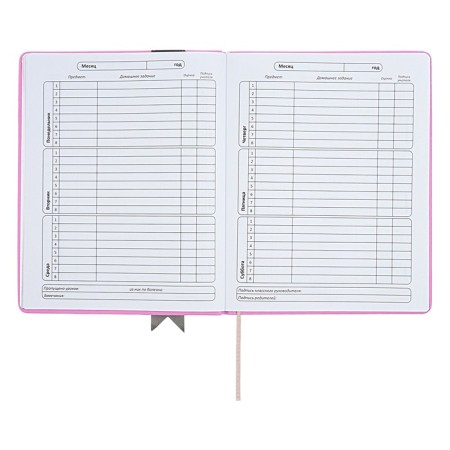 Universal diary for grades 1-11 Lenta, solid cover of artificial leather, applique, silkography, liesse, 48 sheets, pink-6