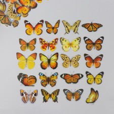 Stickers for creativity PLC PVC 