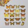 Stickers for creativity PLC PVC "Amber butterflies" set 40 pcs 9x10.5 cm
