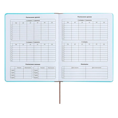 Universal diary for grades 1-11 Excellent, solid cover of artificial leather, silkography, lies, 48 ​​sheets, blue-5