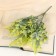 Bouquet "Tropical Leaves" 28 cm, mix