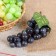 Dummy "grapes" 17 cm, mix