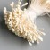 Stamens for flowers "Drops Milk" D = 1.5 mm set 400 pcs length 6 cm