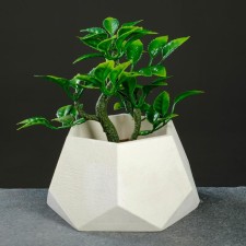 Kashpo hexagon 13 x 7.5 cm white
