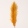 Sukhotzet "Cortery", 1 branch, length 140-150 cm, mustard