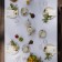 Tables Ethel Kitchen 150x300 cm, central white, 100% hl, sarzha 190 g/m2