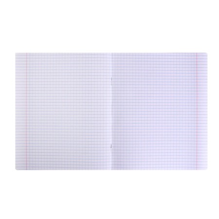 Notebook 12 sheets "Lux", cardboard cover, green-2