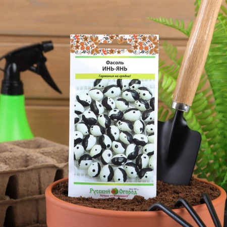 Seeds of beans bush "Yin-Yang", 5 g