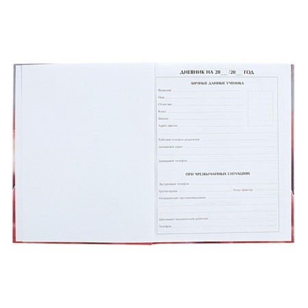 Diary for grades 5-11 "kittens in the clouds", hard cover, holography, 48 sheets-3