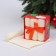 Set of terry towels "Gifts" 30x30 cm - 3 pcs, cotton 340g/m2