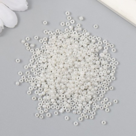 Beads "Astra" 11/0, 20 g (141 white/pearl)-1