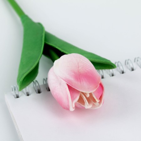 Handle joke Ball blue paste "Tulip" Gift on March 8-4