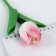 Handle joke Ball blue paste "Tulip" Gift on March 8