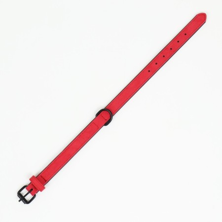 A collar with a remote ring "Mona", 42 x 2 cm, scarlet-4