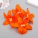 Budon on the leg for decoration "Lily Garden" Orange 6.5x6.5 cm