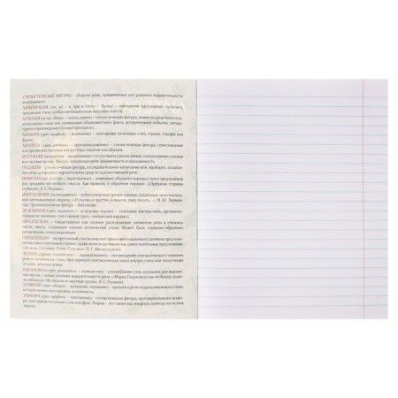 Subject note Calligrata Top "Anime", 48 sheets in the line of literature, with reference material, cover coated cardboard, block offset-1