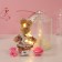 Set gift "Bunny in the dress" soap pink roses 5 pcs, dew 7x7x12 cm