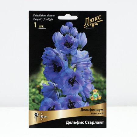 Delphinium High Delphis Starlight, Rr. I, 1 pc, Spring 2024-1