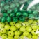 Beads for creativity tree "Meadow gamma" d-0.8 cm, 4 colors x 10 g