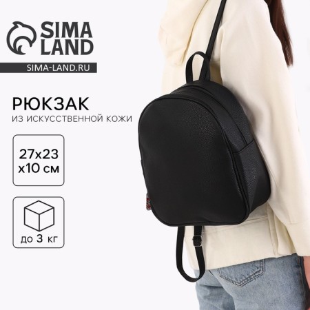 School backpack of artificial leather with a suspension 27x23x10 cm