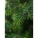 Artificial spruce Green Trees "Bavaria", Lux, 180 cm