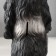 Piggy bank "Puppy Spaniel, large, 24.5 cm
