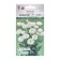 Flowers Lizianthus, eastoma 1 Corelli F1 White, 3 dragees