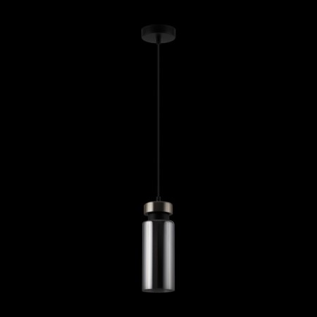 Suspension lamp Freya Come, E14, 1x40 W, 300x100x100 mm-4