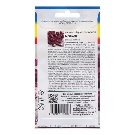 Seed Cabbage Brussels "Brabant"-1