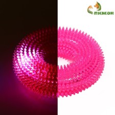The toy luminous for dogs 