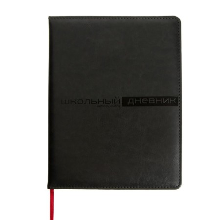 Universal diary for grades 1-11, 48 sheets of Sidney Nebraska, solid cover, artificial leather, thermoting, liesse, block 70 g/m2, gray block