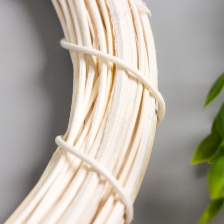 Ring Roadan for manufacturing the capture catcher "cream" d = 30 cm-1