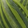Braid decorative paper "Rafia Melange" winding 20 m mix