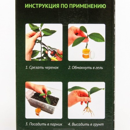 Compulsion for coniferous plants "Radigrin", green, 30 ml-2
