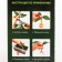 Compulsion for coniferous plants "Radigrin", green, 30 ml