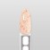 Nail polish gel, set 5 pcs, 8 ml, delicate shades