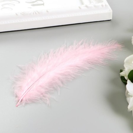 Decorative ostrich feathers, 10-12 cm (set 24 pcs) 6 colors, pastel, assorted-2