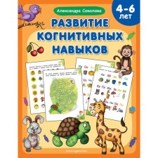 The development of cognitive skills. Sokolova A.