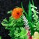 Artificial aquarium plant, 12 cm