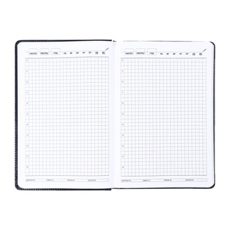 The diary is low, the PVC cover, A5 format, 140 l, cell, with a strap, black-11
