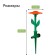 Distant sprayer, 33 cm, under connector, peak, plastic, “flower”, Greengo