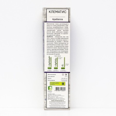 Clematis botanical (for cutting) "Arabella", 1 pc, tube, spring 2025-1
