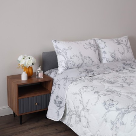 Euro set: blanket, sheet, pillowcases 50x70 cm-2 pcs