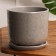 Pit flower python gray 1.6 l